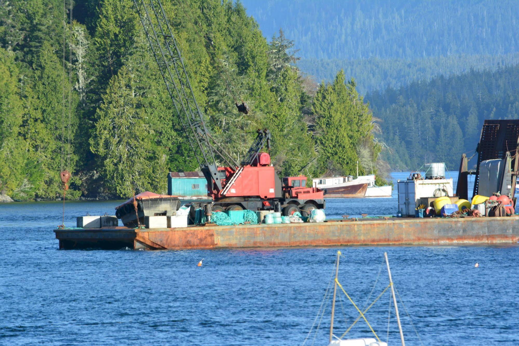 Tofino Motel Harbourview Екстериор снимка